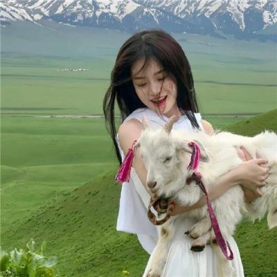 我的名字叫陈怼怼